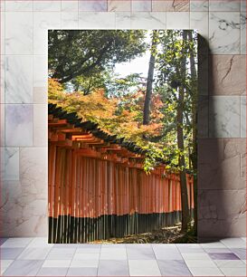 Πίνακας, Torii Gate Path in Forest Torii Gate Path στο Δάσος