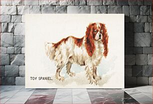 Πίνακας, Toy Spaniel, from the Dogs of the World series for Old Judge Cigarettes (1890), vintage animal illustration by Goodwin & Company