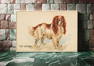 Πίνακας, Toy Spaniel, from the Dogs of the World series for Old Judge Cigarettes