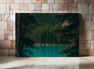 Πίνακας, Tranquil Forest Reflection Ήρεμη αντανάκλαση του δάσους