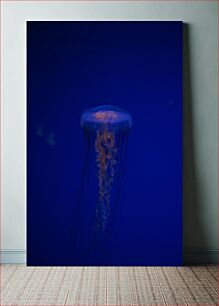 Πίνακας, Tranquil Jellyfish Ήρεμη μέδουσα