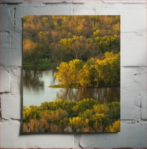 Πίνακας, Tranquil Riverside Forest Ήρεμο δάσος δίπλα στο ποτάμι