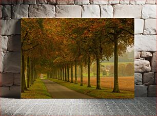 Πίνακας, Tranquil Tree-lined Road in Autumn Ήρεμος δεντρόφυτος δρόμος το φθινόπωρο