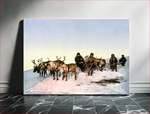 Πίνακας, Traveling by reindeer, en:Arkhangelsk, Russia. photomechanical print : photochrom, color