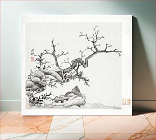 Πίνακας, Tree (1368–1644) vintage Chinese painting by Chen Hongshou