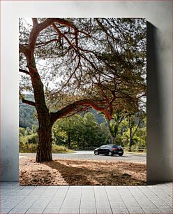 Πίνακας, Tree and Car by the Road Δέντρο και αυτοκίνητο στο δρόμο