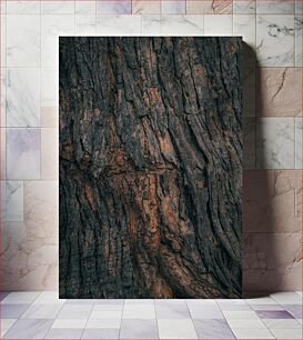 Πίνακας, Tree Bark Texture Υφή φλοιού δέντρου