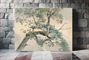 Πίνακας, Tree Branches