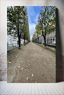 Πίνακας, Tree-lined Path in a City Δεντρόφυτο μονοπάτι σε μια πόλη