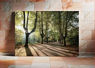 Πίνακας, Tree-lined Pathway Δεντρόφυτο μονοπάτι