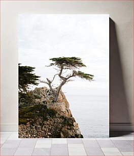 Πίνακας, Tree on Rocky Cliff by the Sea Δέντρο στο Rocky Cliff by the Sea