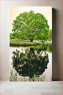 Πίνακας, Tree Reflected in a Lake Δέντρο που αντανακλάται σε μια λίμνη