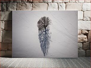 Πίνακας, Tree Shadow on Snow Σκιά δέντρου στο χιόνι