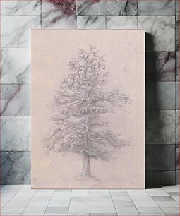 Πίνακας, Tree Study