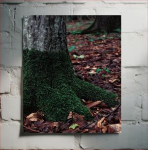 Πίνακας, Tree Trunk with Moss Κορμός δέντρου με βρύα