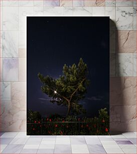 Πίνακας, Tree Under Night Sky Δέντρο κάτω από τον νυχτερινό ουρανό