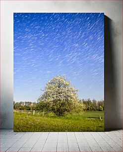 Πίνακας, Tree Under Starry Night Sky Δέντρο κάτω από τον έναστρο νυχτερινό ουρανό