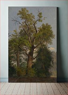 Πίνακας, Trees by Friedrich Carl von Scheidlin