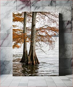 Πίνακας, Trees by the Water Δέντρα δίπλα στο νερό