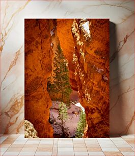 Πίνακας, Trees in a Rocky Canyon Δέντρα σε ένα βραχώδες φαράγγι