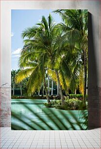 Πίνακας, Tropical Palm Trees by the Water Τροπικοί φοίνικες δίπλα στο νερό