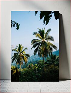 Πίνακας, Tropical Palm Trees in a Mountainous Landscape Τροπικοί φοίνικες σε ορεινό τοπίο