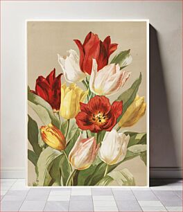 Πίνακας, Tulips by Ellen Thayer Fisher