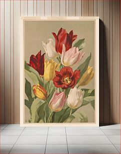 Πίνακας, Tulips