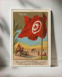 Πίνακας, Tunis, from Flags of All Nations, Series 2 (N10) for Allen & Ginter Cigarettes Brands, issued by Allen & Ginter