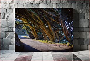 Πίνακας, Tunnel of Trees on a Path Σήραγγα δέντρων σε μονοπάτι