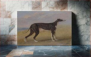 Πίνακας, Turk, a greyhound, the property of George Lane Fox