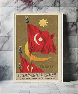 Πίνακας, Turkey, from Flags of All Nations, Series 1 (N9) for Allen & Ginter Cigarettes Brands