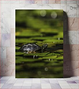 Πίνακας, Turtle in a Pond Χελώνα σε μια λίμνη