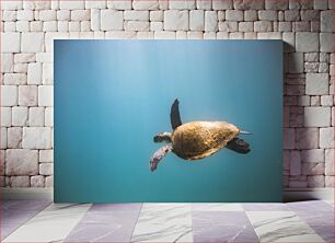 Πίνακας, Turtle Swimming in the Ocean Χελώνα που κολυμπά στον ωκεανό
