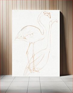 Πίνακας, Twee studies van een flamingo (1873–1917) by Theo van Hoytema