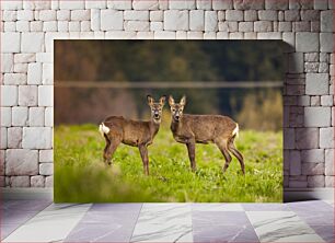 Πίνακας, Twin Deer in the Meadow Δίδυμα Ελάφια στο Λιβάδι