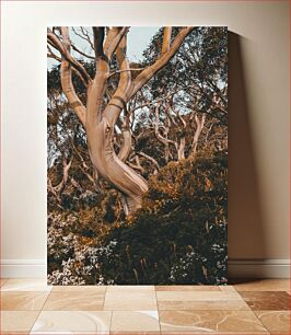 Πίνακας, Twisting Tree in a Forest Στρίβοντας δέντρο σε ένα δάσος