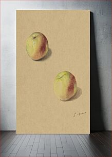 Πίνακας, Two Apples (1880) by Édouard Manet