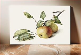 Πίνακας, Two apples on a branch (1834–1895) by Johannes Reekers (II)