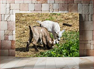 Πίνακας, Two Baby Goats Grazing Δύο κατσίκια που βόσκουν