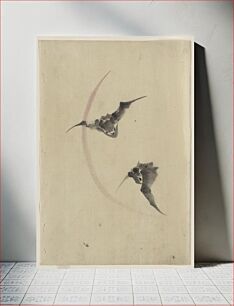 Πίνακας, [Two bats flying]
