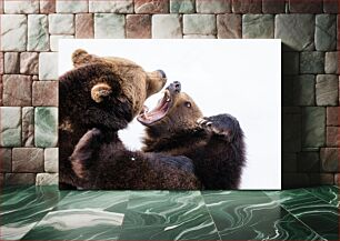 Πίνακας, Two Bears Interacting Δύο αρκούδες που αλληλεπιδρούν