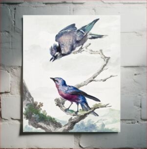 Πίνακας, Two birds: a blue jay and a purple-breasted cotinga (1760) by Aert Schouman