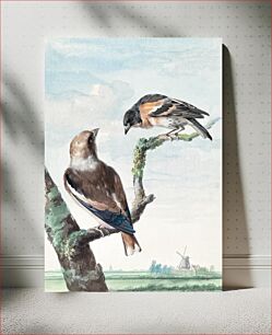Πίνακας, Two birds: hawfinch (1752) by Aert Schouman