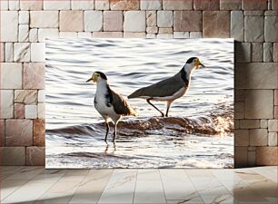 Πίνακας, Two Birds in Shallow Water Δύο πουλιά σε ρηχά νερά