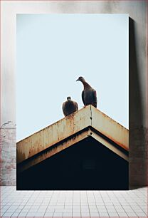 Πίνακας, Two Birds on a Rooftop Δύο πουλιά σε μια ταράτσα