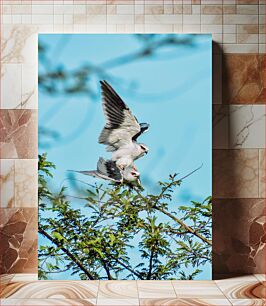 Πίνακας, Two Birds Perched on Branch Δύο πουλιά σκαρφαλωμένα στο κλαδί