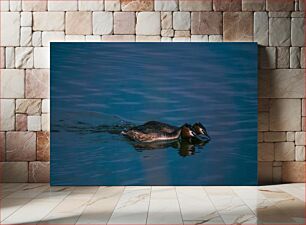 Πίνακας, Two Birds Swimming in a Lake Δύο πουλιά που κολυμπούν σε μια λίμνη