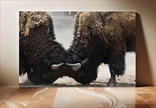 Πίνακας, Two Bison Clashing Δύο Bison Clashing