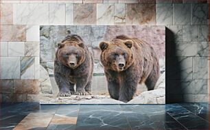 Πίνακας, Two Brown Bears Δύο καφέ αρκούδες